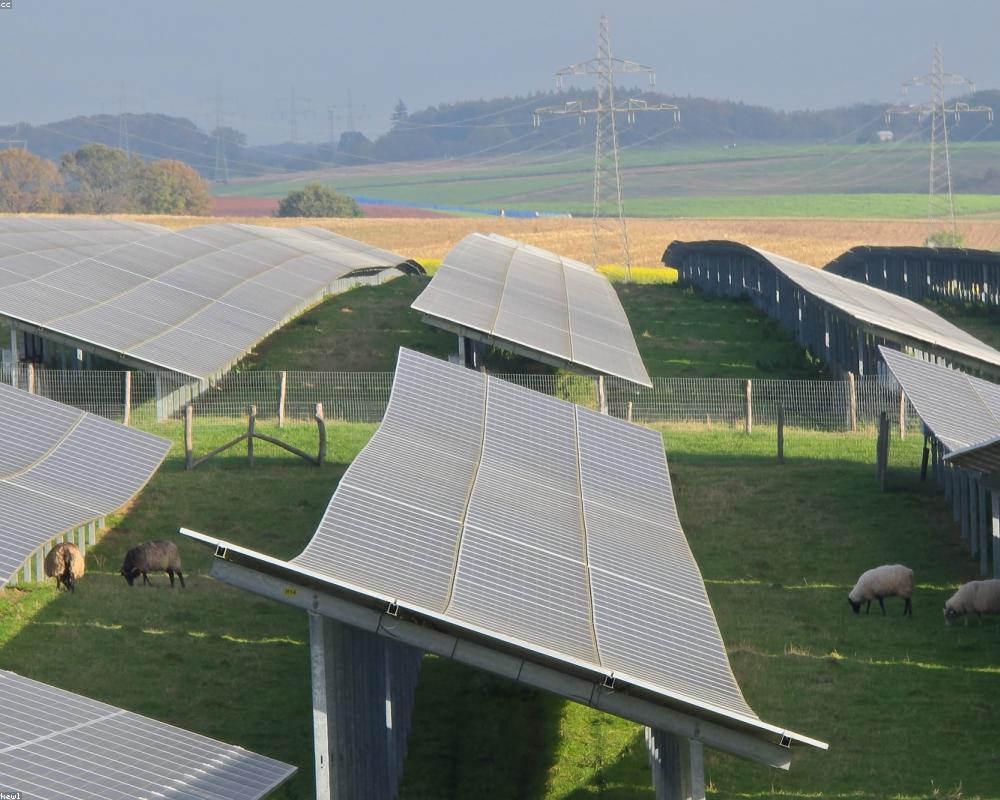 Rooftop Solar Panels
